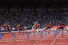 100 metres hurdles, from left to right: Kristi Castlin (USA), Kellie Wells (USA), Sally Pearson (Aus), Tiffany Porter (GB) and Dawn Harper-Nelson (USA) at the IAAF Diamond League, Birmingham.